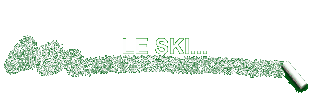 LE SKI...